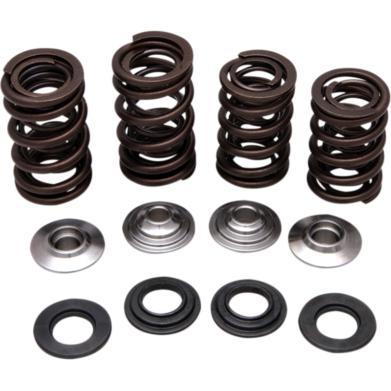 SPRING KIT 06-08 TRX450R
