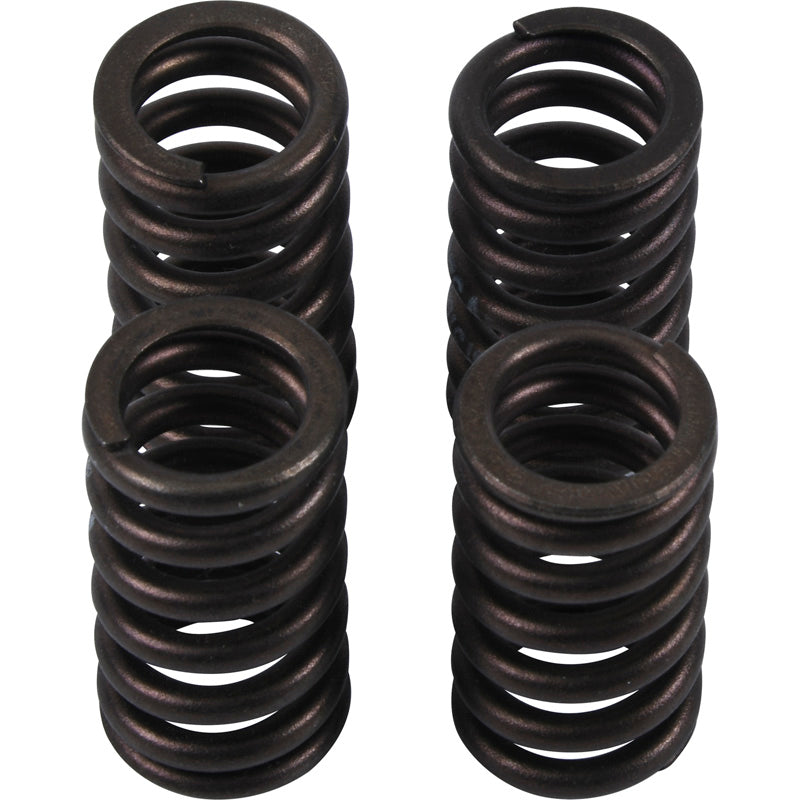 VALVE SPRING KIT