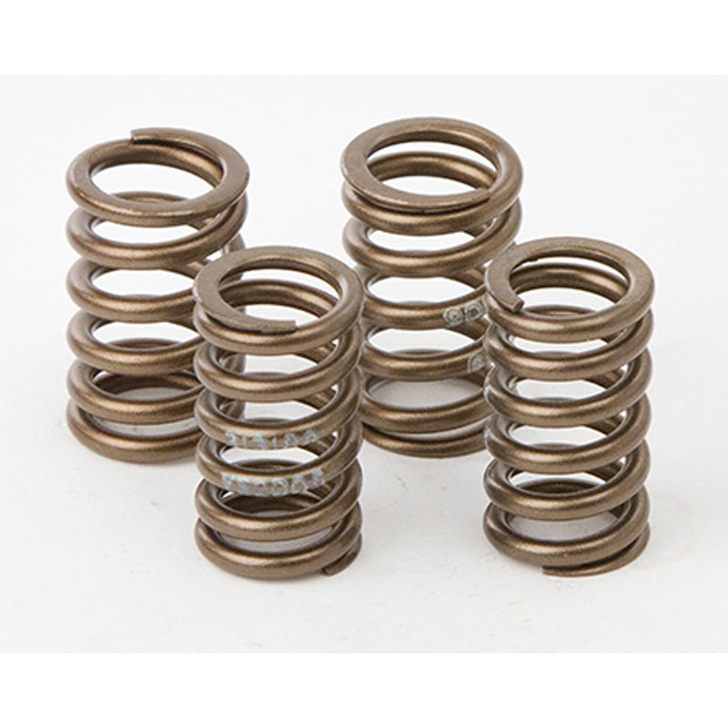 VALVE SPRING KIT