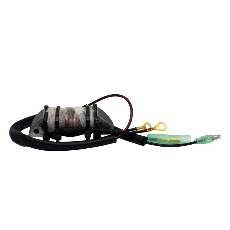 IGNITION SOURCE COIL (YAMAHA)