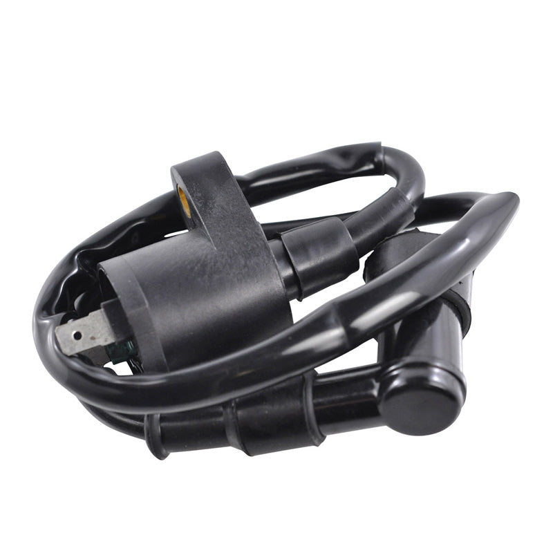 EXTERNAL IGNITION COIL WITH CAP