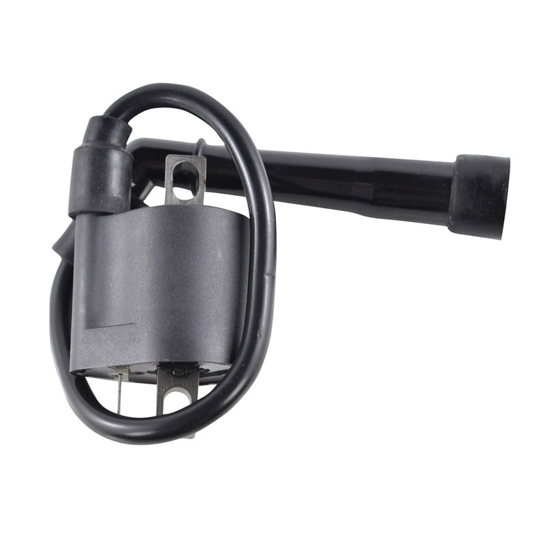 EXTERNAL IGNITION COIL WITH CAP