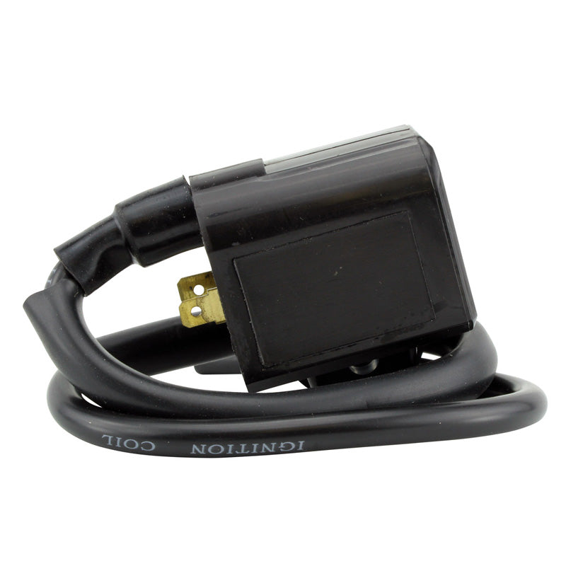 EXTERNAL IGNITION COIL (POLARIS)