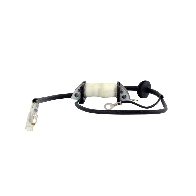 IGNITION SOURCE COIL (YAMAHA)