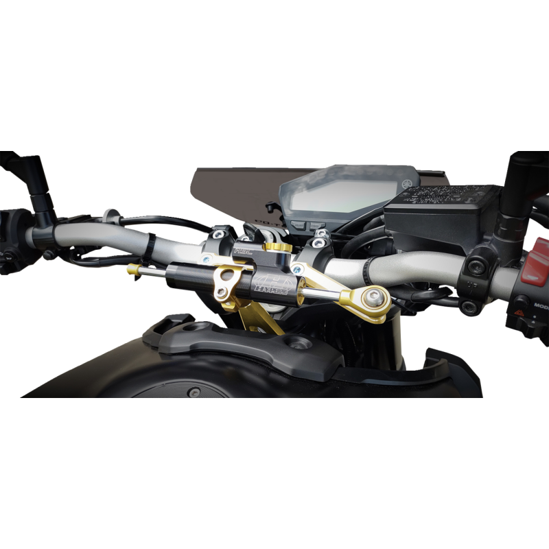 13-20 MT-09 DAMPER MOUNT KIT
