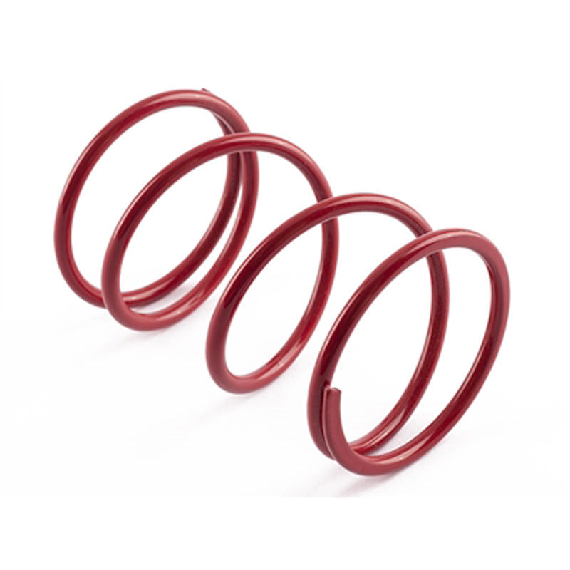 VARIATOR SPRINGS +22% - PIAGGIO
