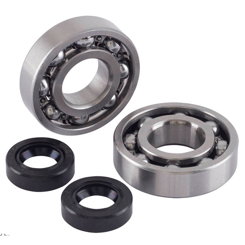 BEARING AND SEAL KIT - MINARELLI (C3)
