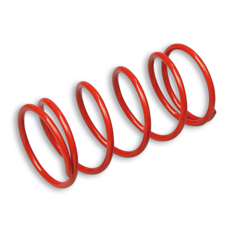 TORQUE SPRING RACING (+40%)