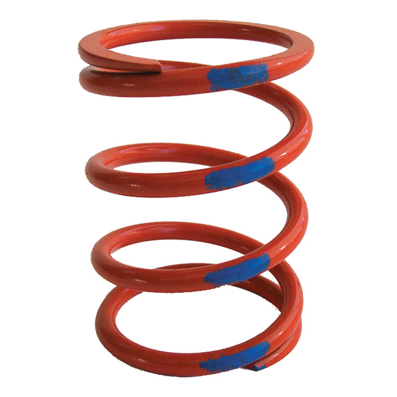 PRIMARY CLUTCH SPRINGS