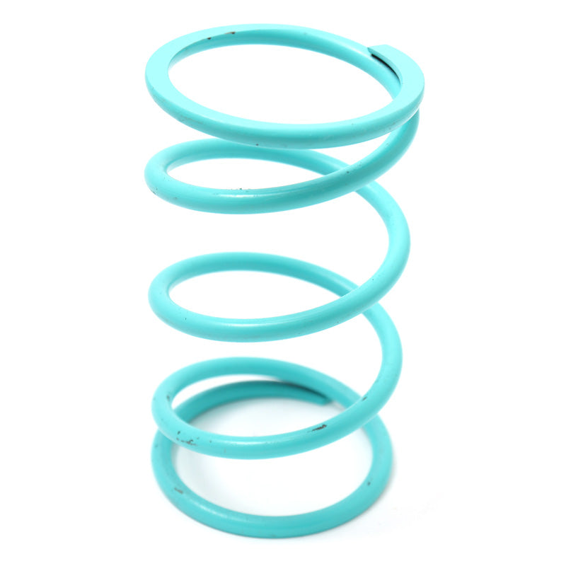 SECONDARY CLUTCH SPRINGS