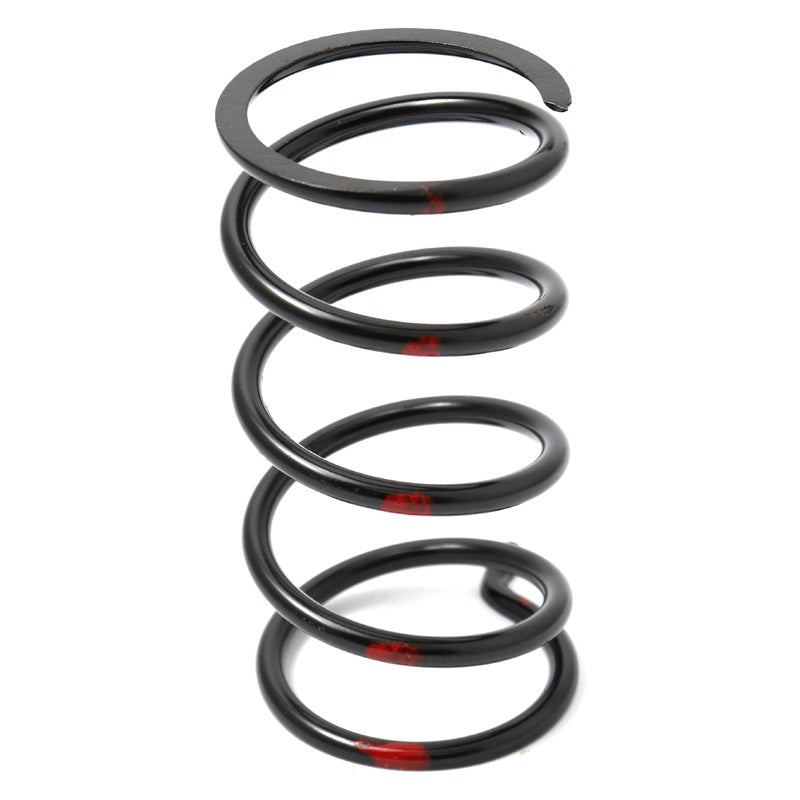 SECONDARY CLUTCH SPRINGS
