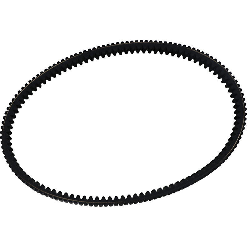DAYCO BELT RPX5032