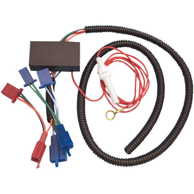 ELECTRONIC WIRE HARNESS