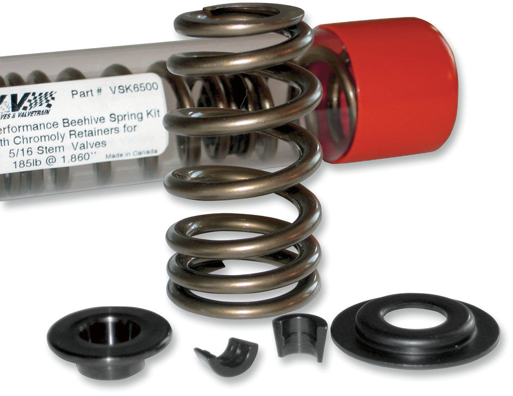 84-04 B/T B/HIVE VALVE SPR KIT .600