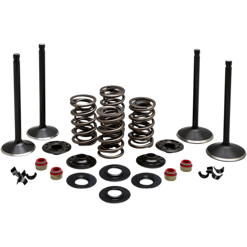 ENGINE KIT 1984-99 HD EVOLUTION