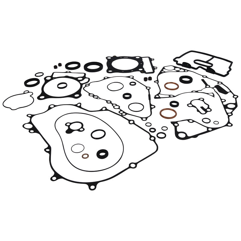 COMPLETE GASKET KIT WITH OIL SEALS