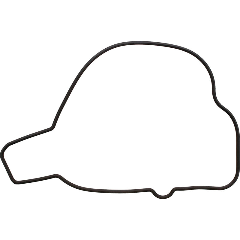 IGNITION COVER GASKET
