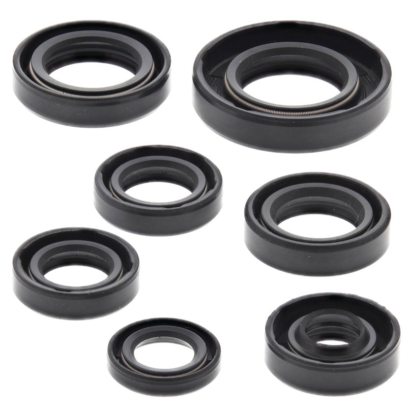 OIL SEAL KIT