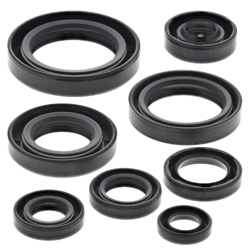 OIL SEAL KIT
