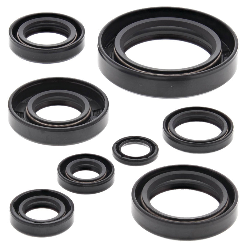 OIL SEAL KIT