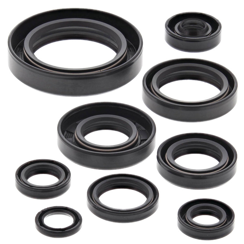 OIL SEAL KIT