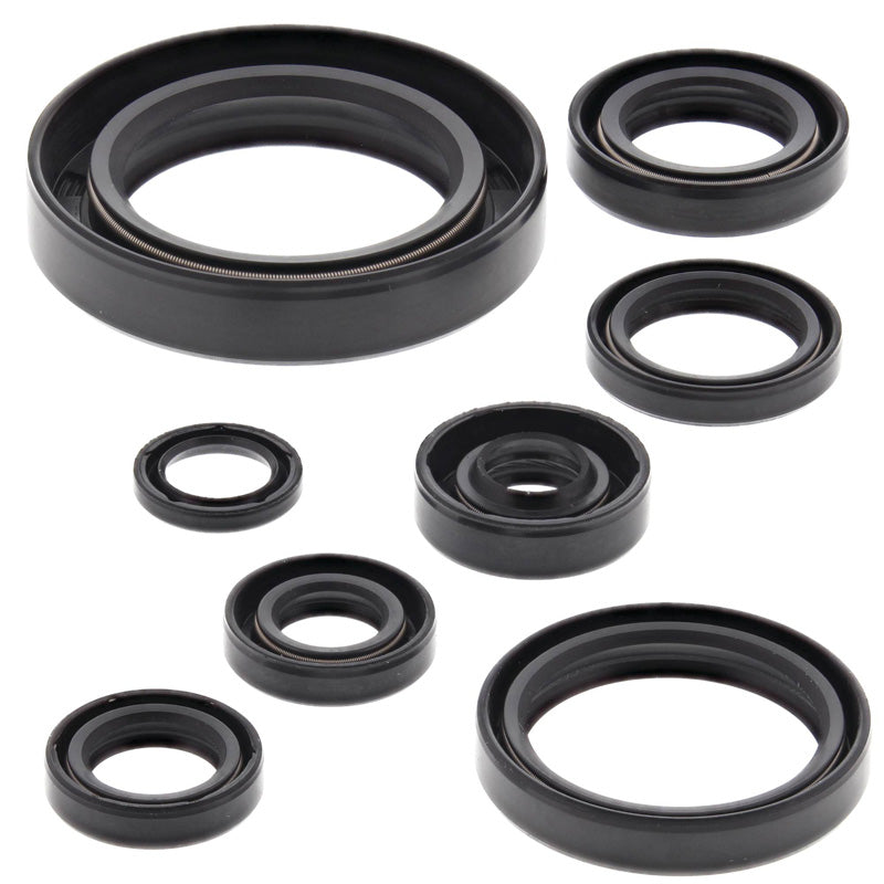 OIL SEAL KIT