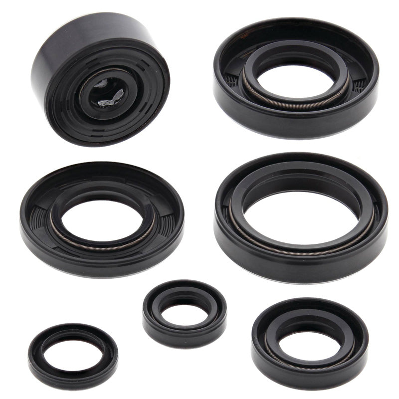 OIL SEAL KIT