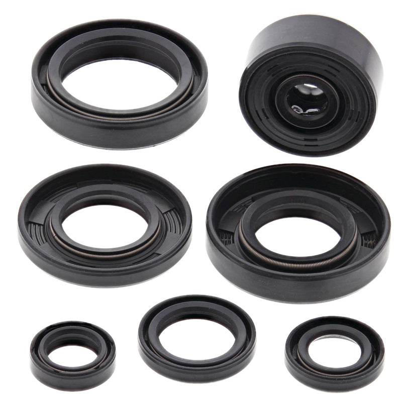OIL SEAL KIT