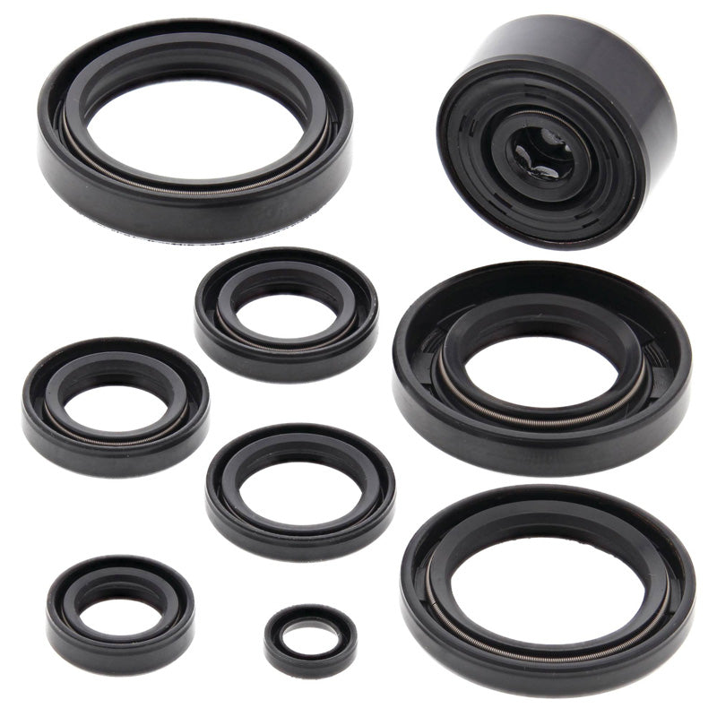 OIL SEAL KIT