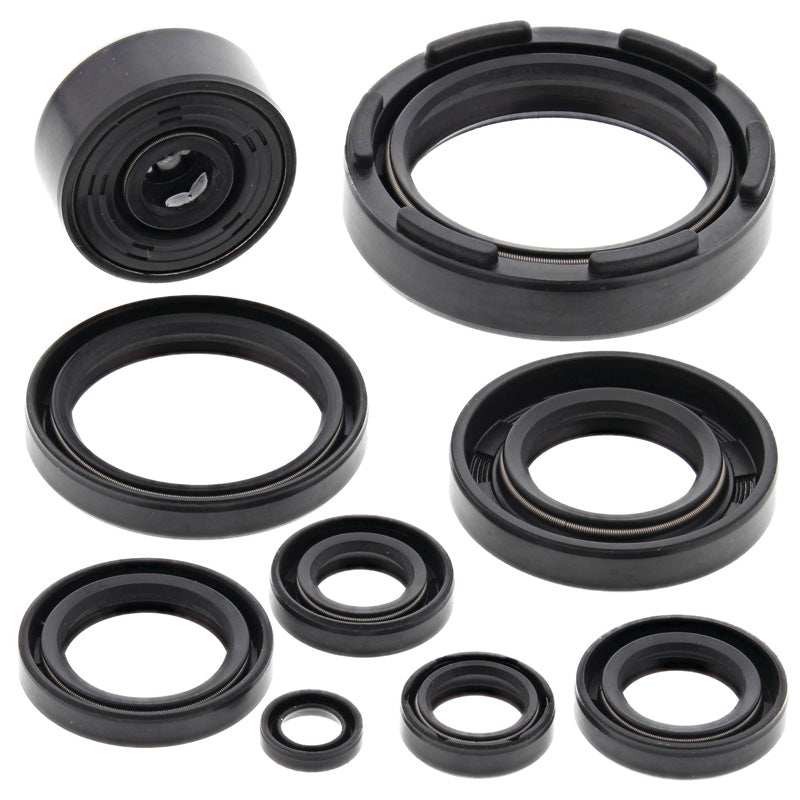 OIL SEAL KIT