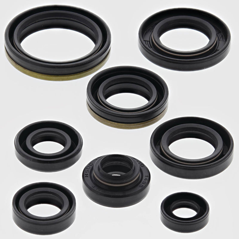 OIL SEAL KIT