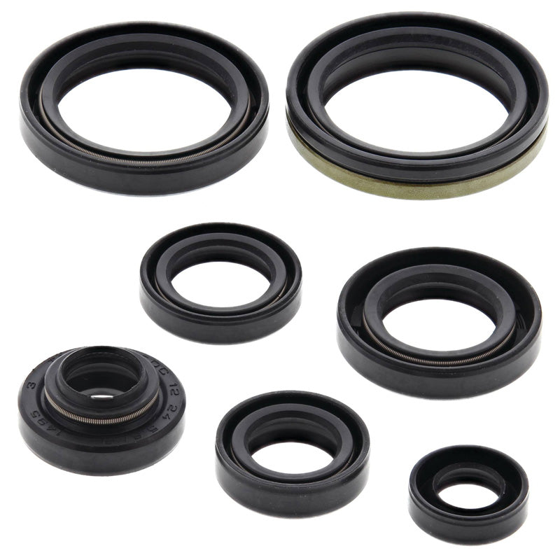 OIL SEAL KIT