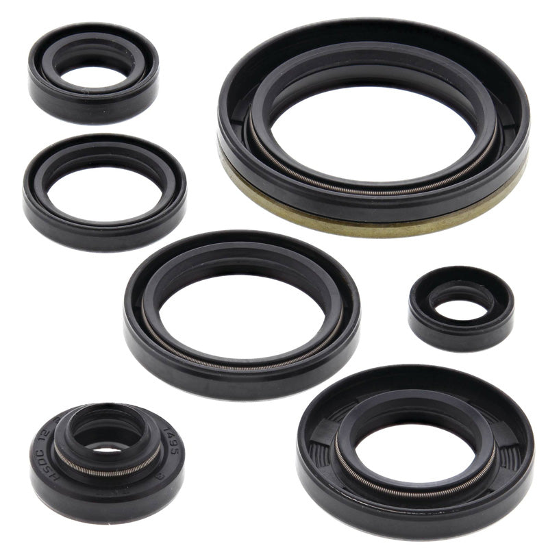 OIL SEAL KIT