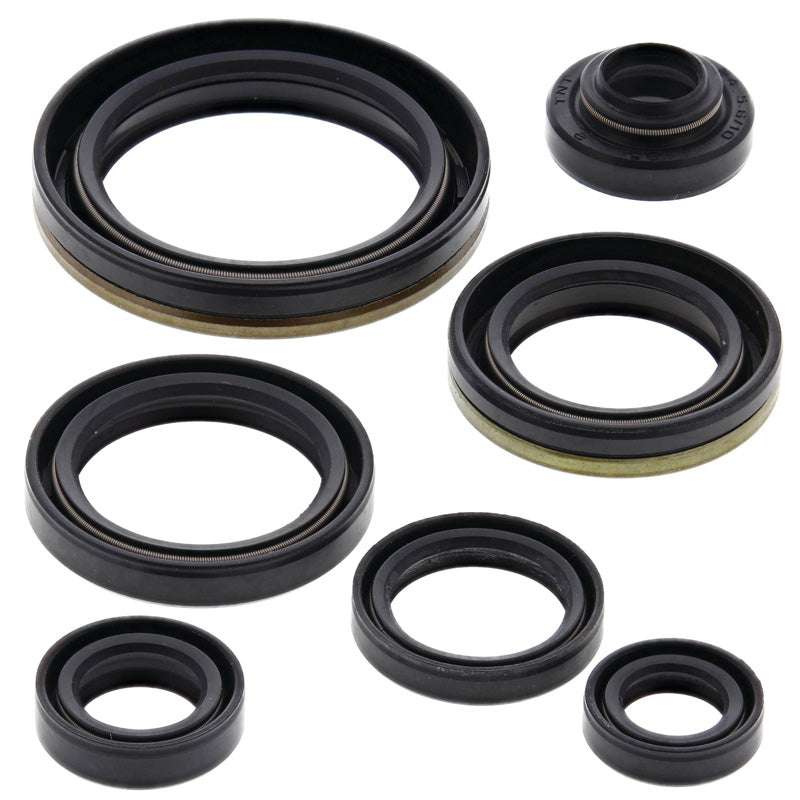 OIL SEAL KIT