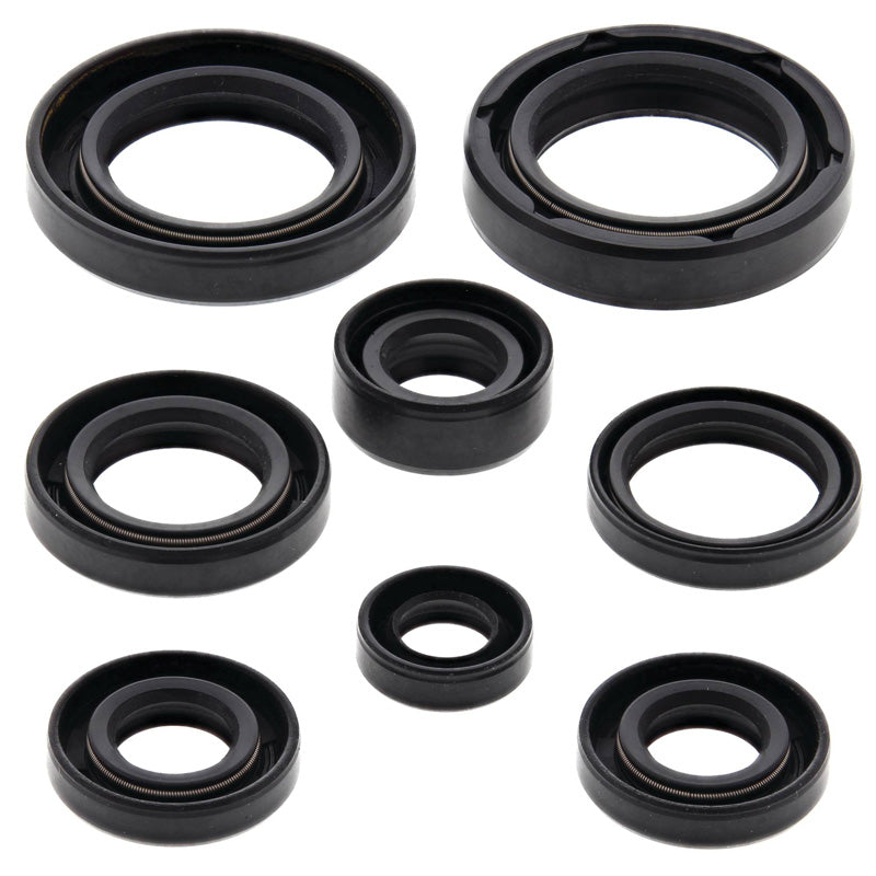 OIL SEAL KIT