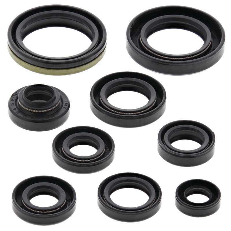 OIL SEAL KIT
