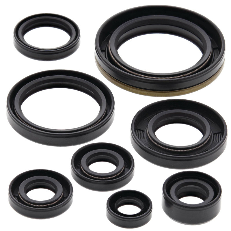 OIL SEAL KIT