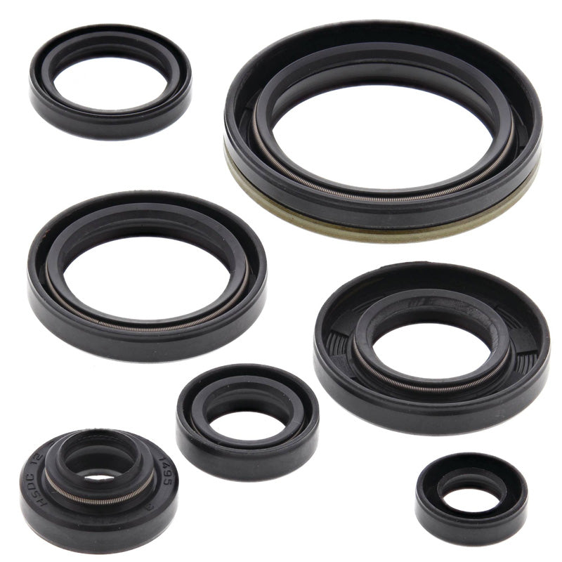 OIL SEAL KIT