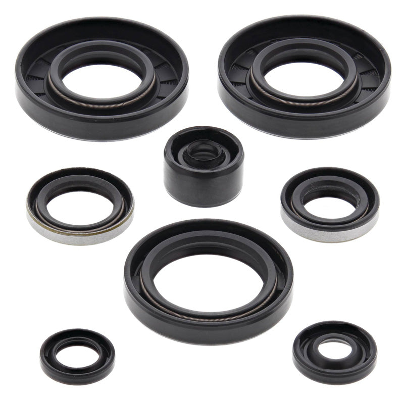OIL SEAL KIT