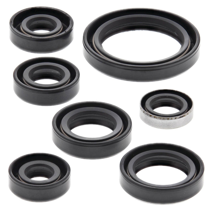 OIL SEAL KIT