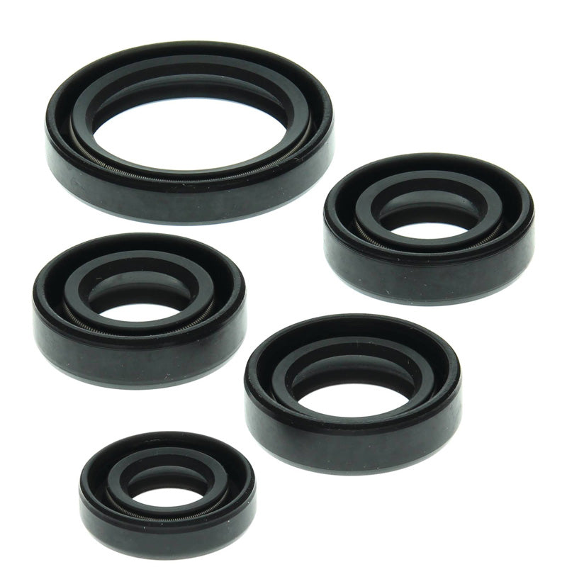 OIL SEAL KIT
