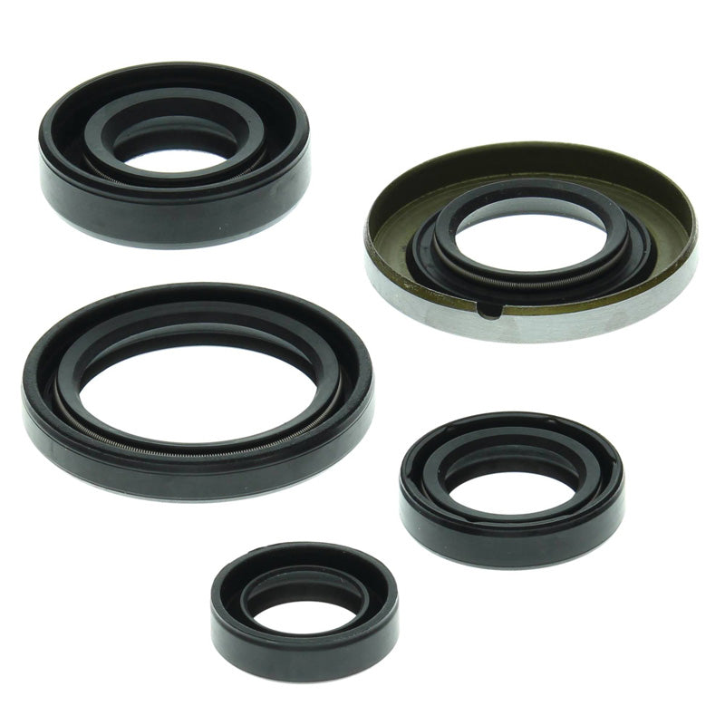 OIL SEAL KIT