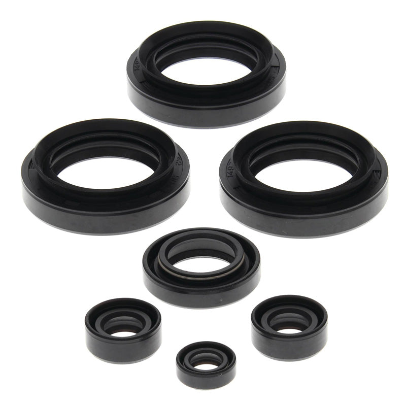 OIL SEAL KIT