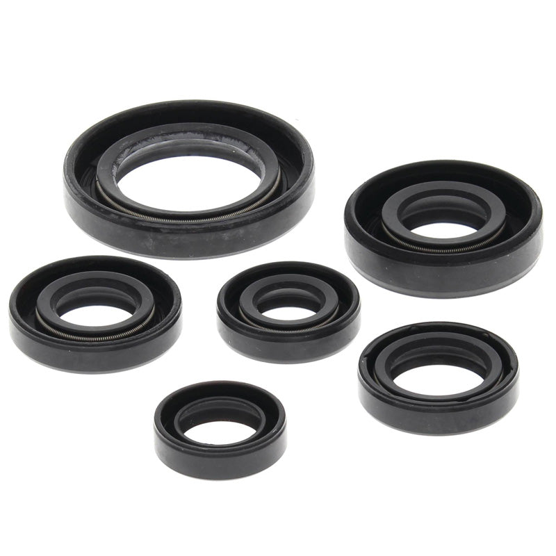 OIL SEAL KIT