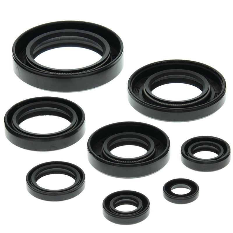 OIL SEAL KIT