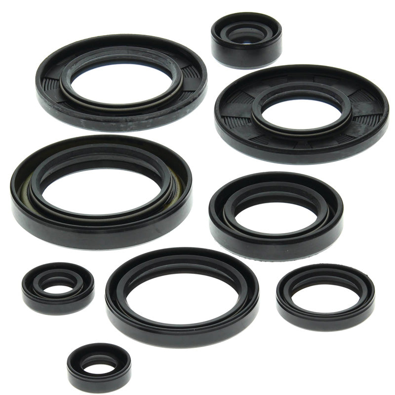 OIL SEAL KIT