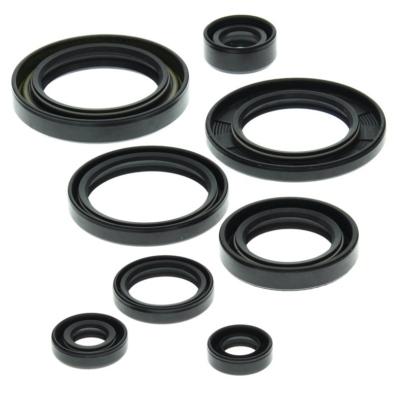 OIL SEAL KIT