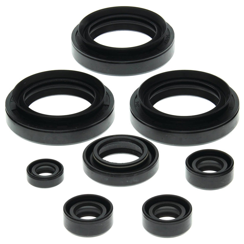 OIL SEAL KIT