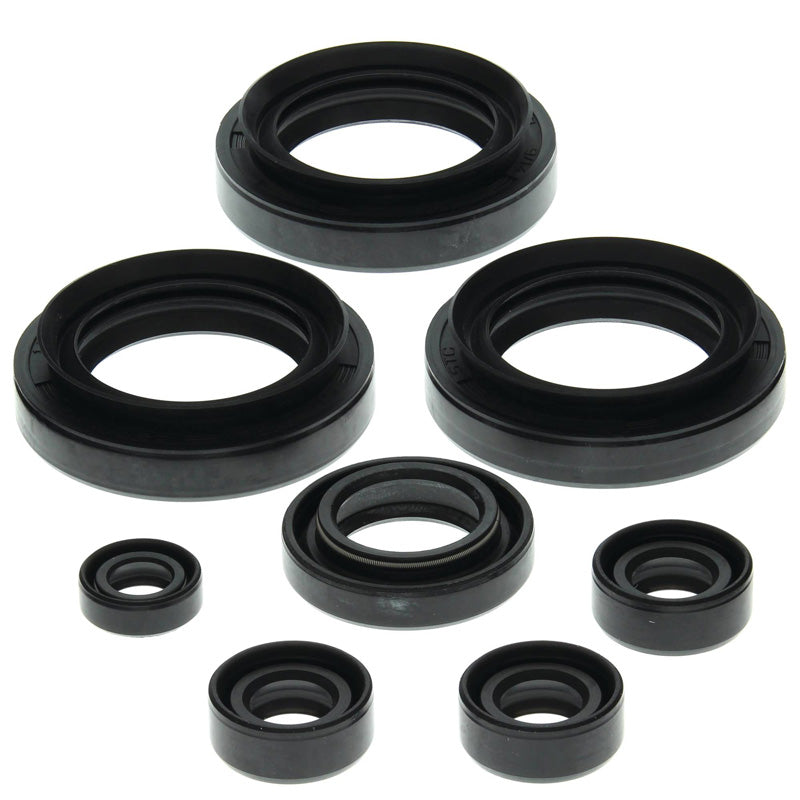 OIL SEAL KIT
