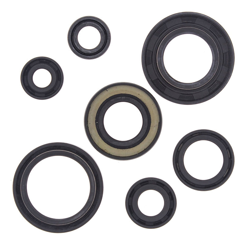 OIL SEAL KIT